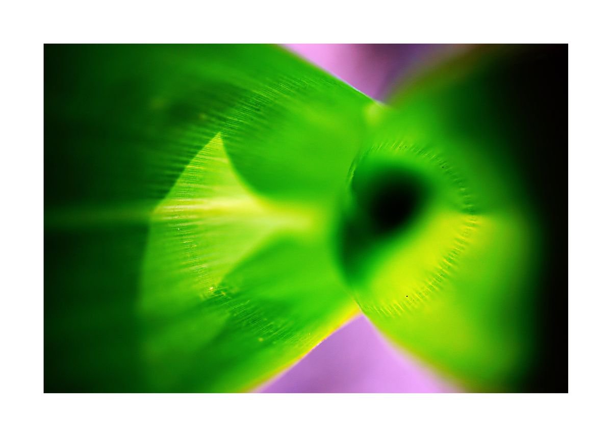 Abstract Mystic and Colourful Leaf 02 (LIMITED EDITION OF 15) by Richard Vloemans