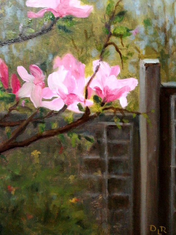 Spring in my garden - Magnolia bloom