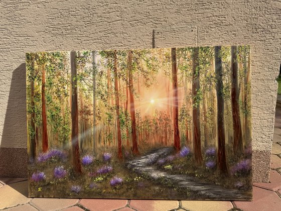 Sunlit Magic