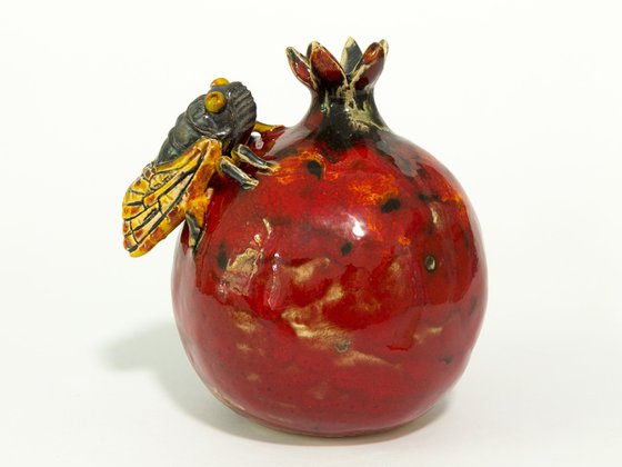 Cicada and pomegranate