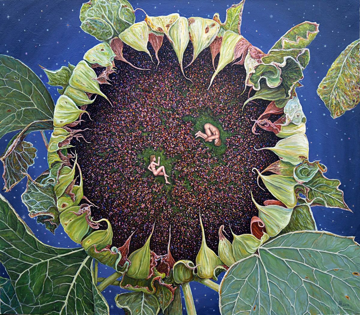 Photorealistic Botanical Oil Painting By Grigor Velev, 35 X 31, Little Universe Ii, Original Artwork