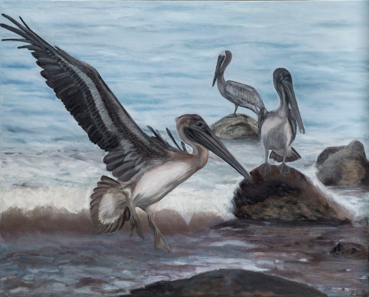 Pelicans by Diana Sandetskaya