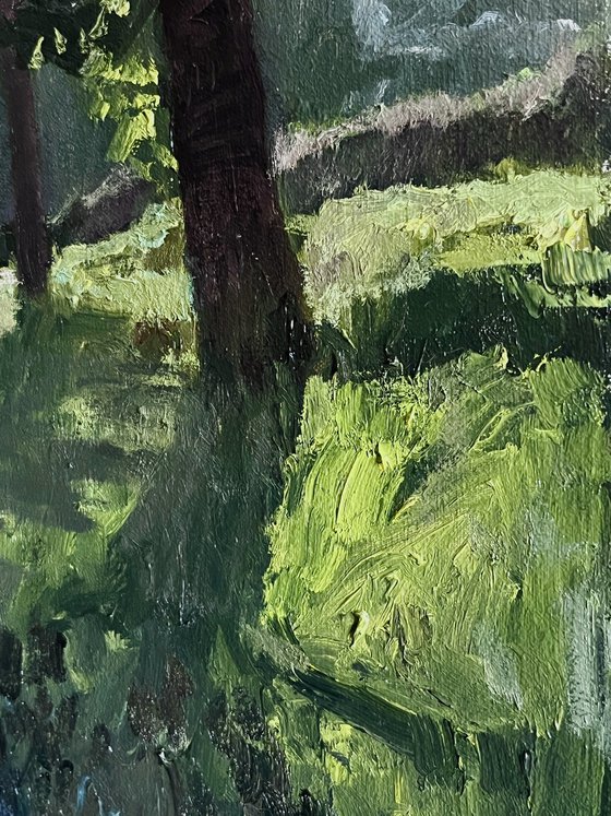 The trail