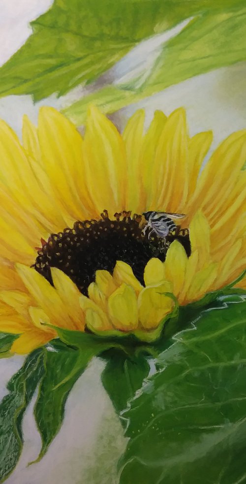 You Are My Sunshine by Laurie Cartwright