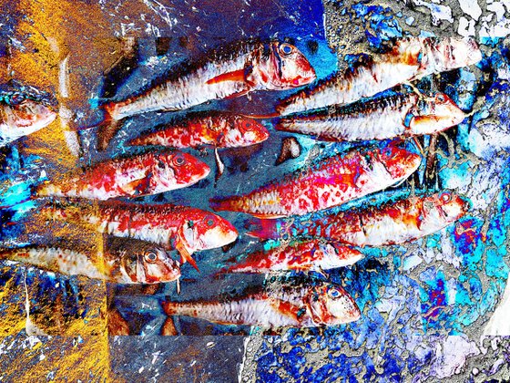 Photo Collage Fish Sea Sand