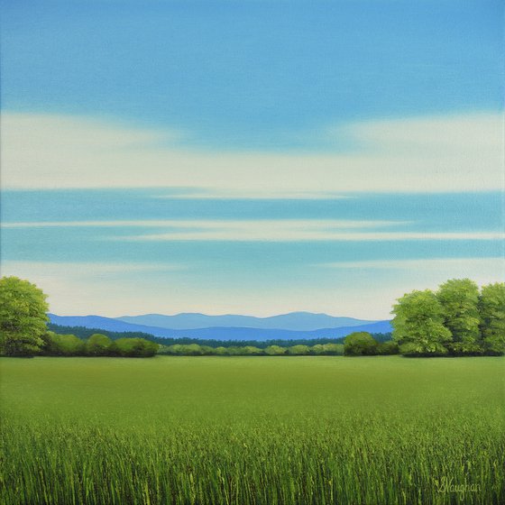 Green Meadow - Blue Sky