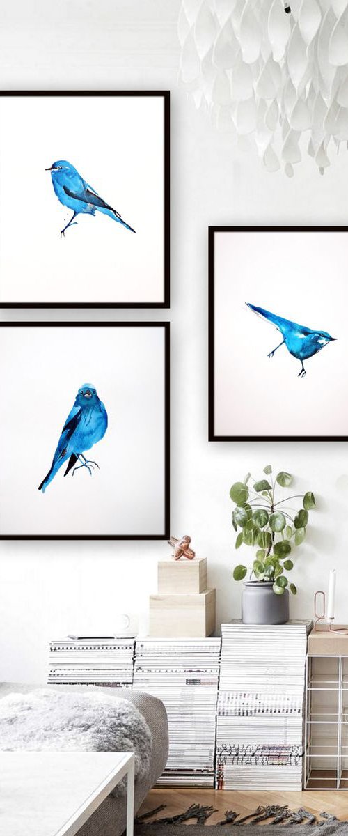 Birds by Nadia Moniatis