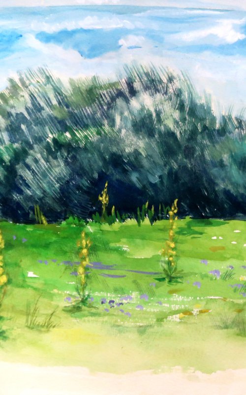 Fresh meadow. by Elvira Sesenina