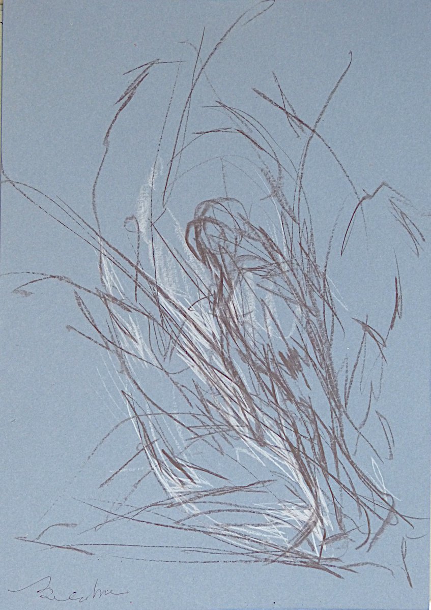 Expressive Portrait Pencil Drawing By Frederic Belaubre, 8 X 11, In The State Of Uncertainty 6, Original Artwork