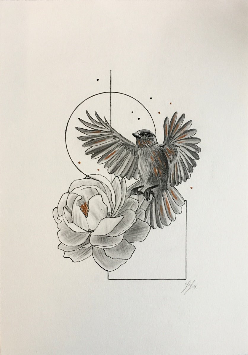 Impressionistic Animal Pencil Drawing By Amelia Taylor, 8 X 12, Bird And Peony, Original Artwork