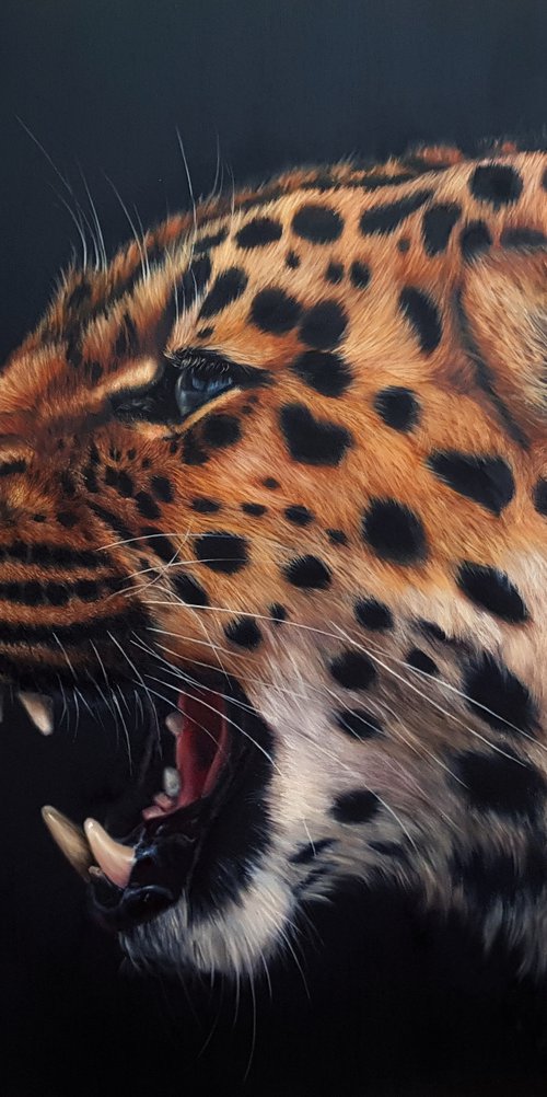 Amur Leopard by Sarah Eden