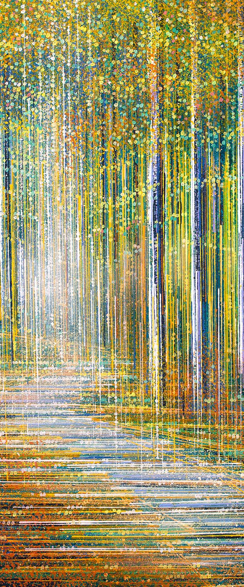 Summer Forest At Sunset by Marc Todd