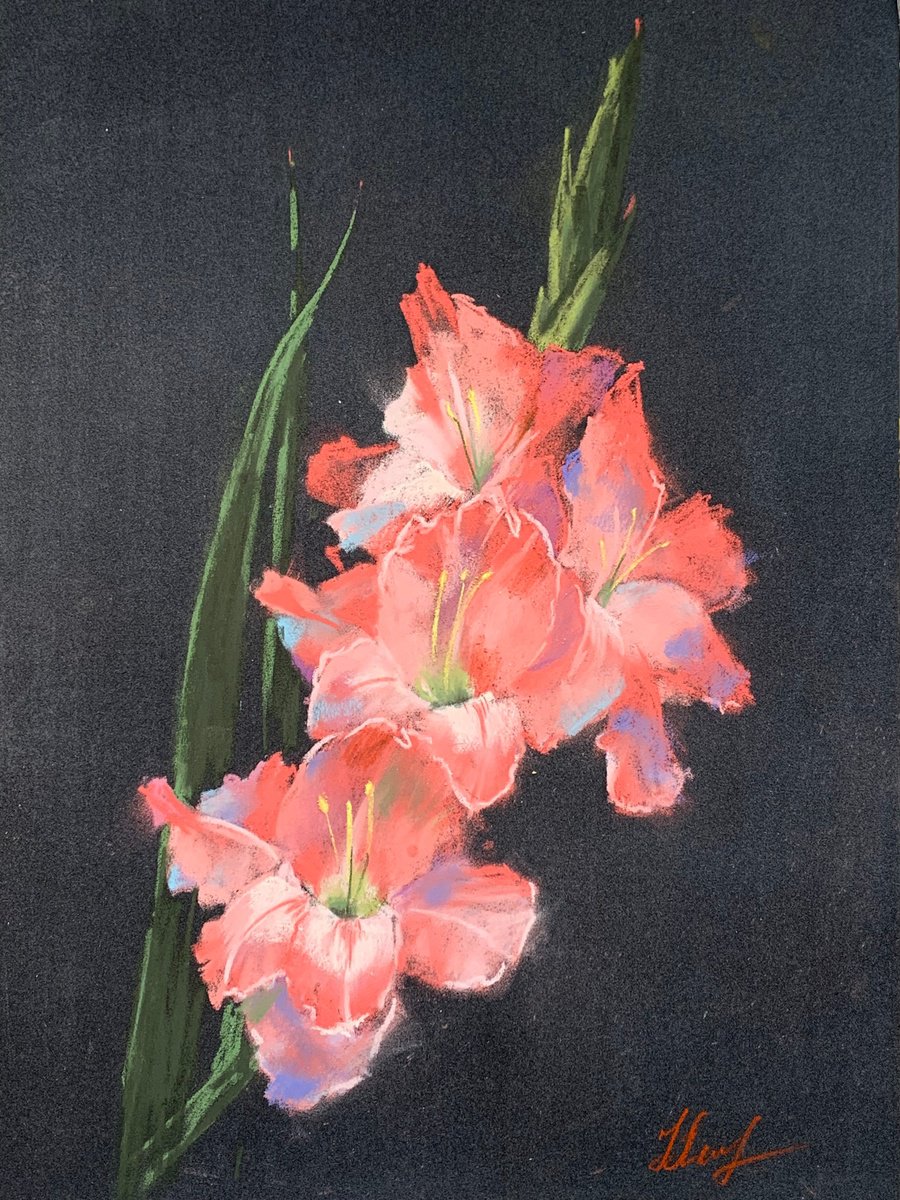 Gladioluses by Nataliya Lemesheva