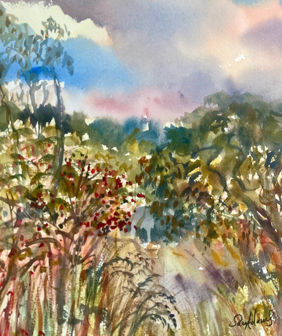 Early Autumn at Duncliffe wood