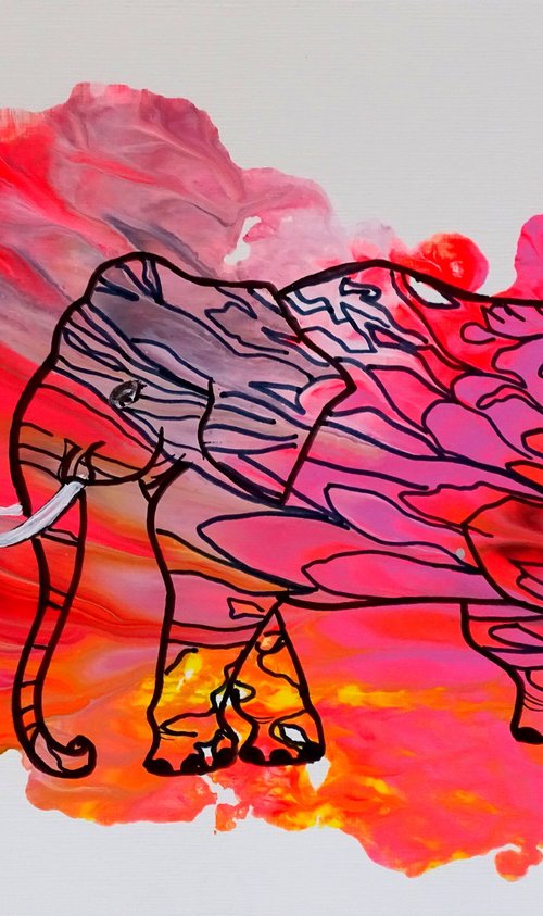 Elephant 2 pink by CB.