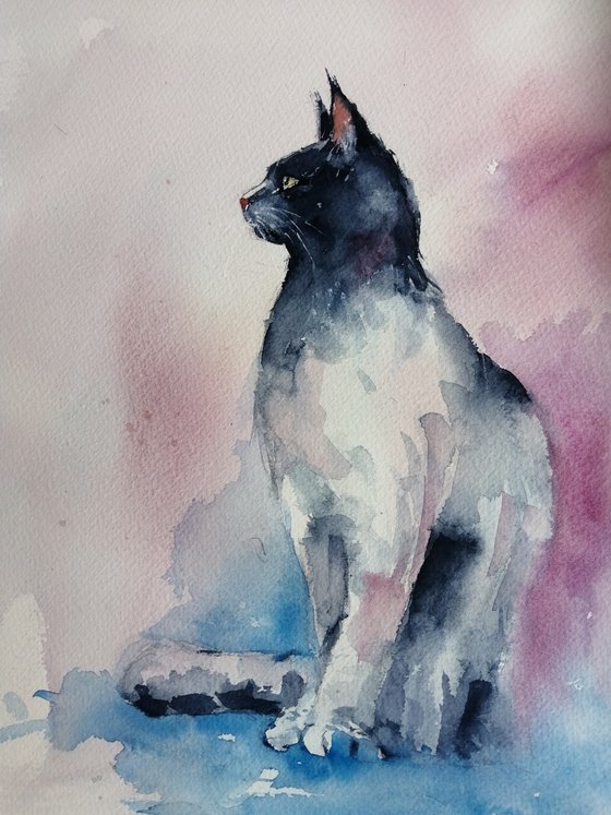cat 19