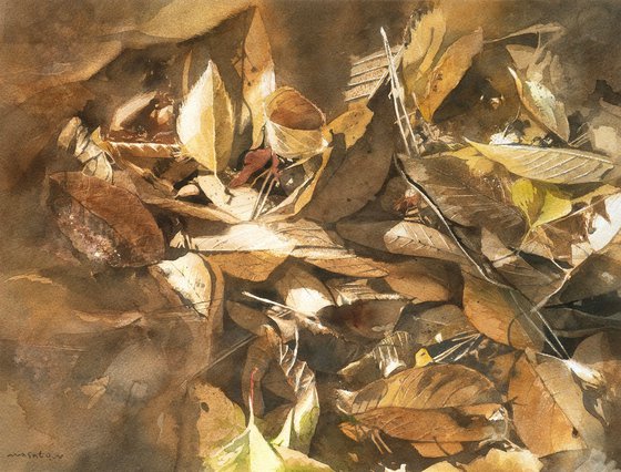 Fallen Leaves in Sunlight
