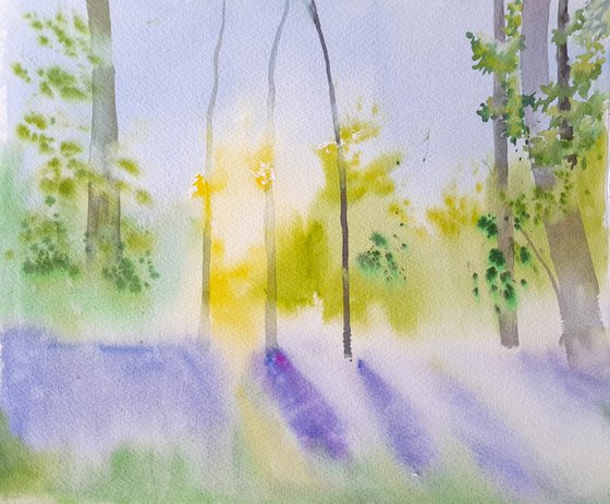 Bluebells at Oldmoor Wood II