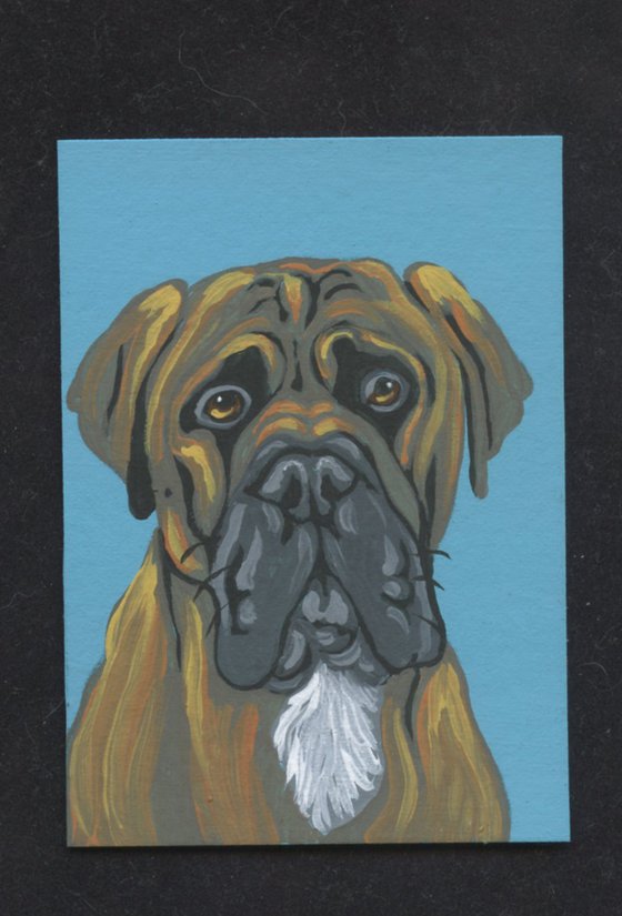 ACEO ATC Original Miniature Painting  Mastiff Pet Dog Art-Carla Smale