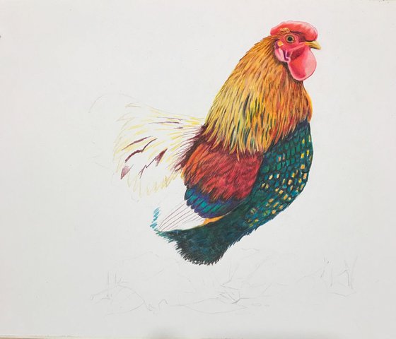Red, gold and green (cockerel)