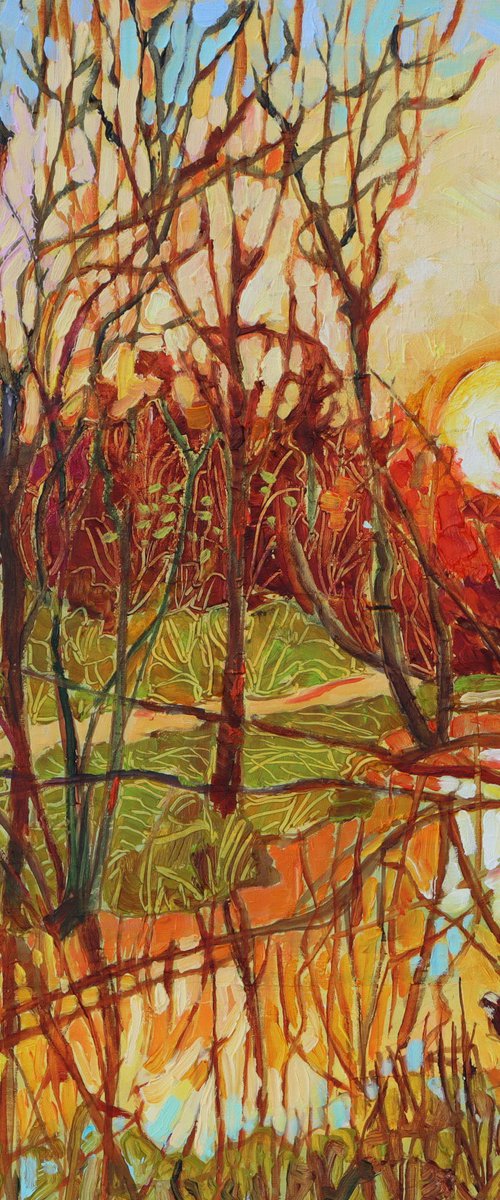 Sun Setting Over Aldi by Mary Kemp