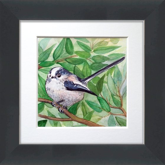 Long tailed tit framed and ready to hang