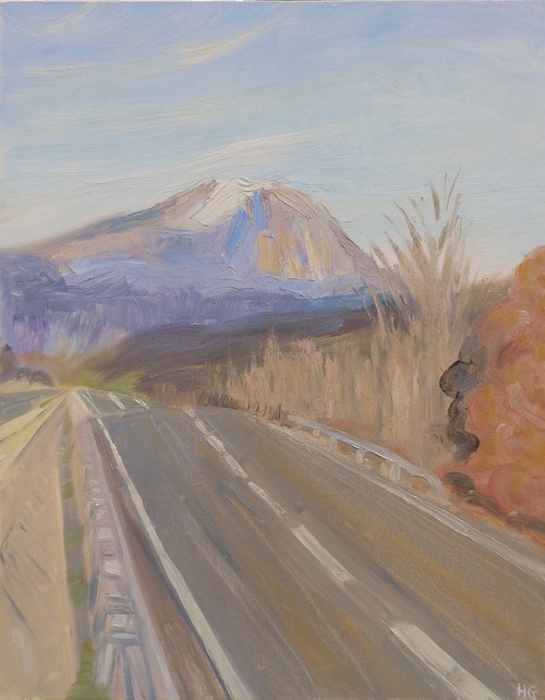 Road to El Turbon by Heidi  Green