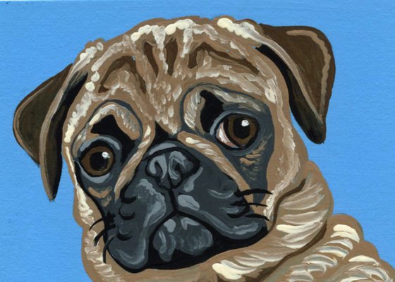 ACEO ATC Original Miniature Painting Fawn Pug Pet Dog Art-Carla Smale