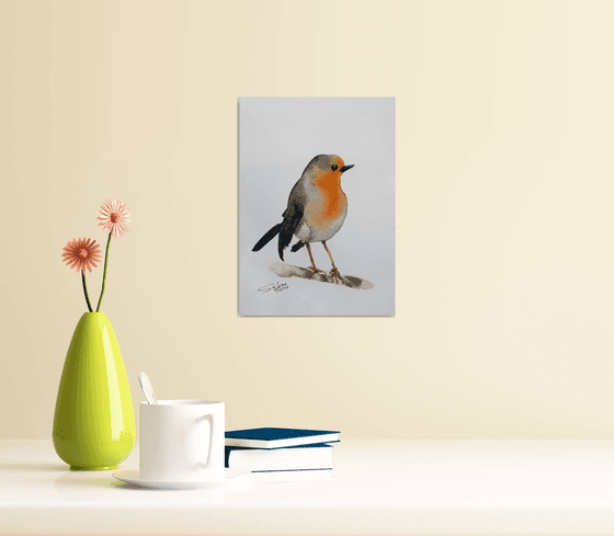 Robin III - Bird portrait /  ORIGINAL PAINTING