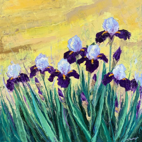 Irises at Sunrise   80x80cm