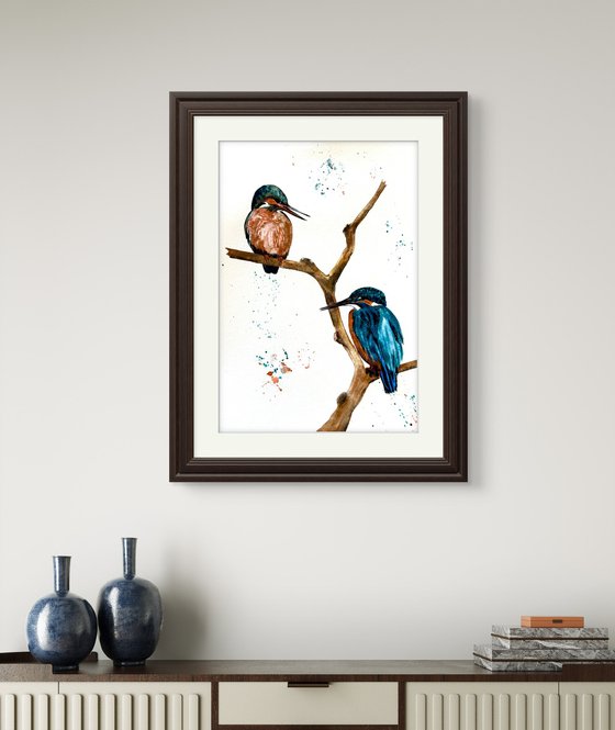 A pair of Kingfisher Birds