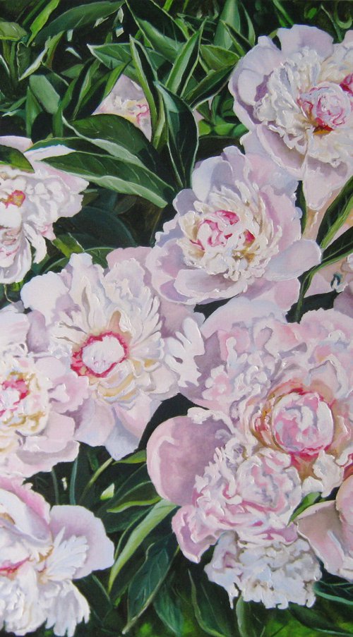 White Peonies in the Sun, Summer Garden Scene by Natalia Shaykina