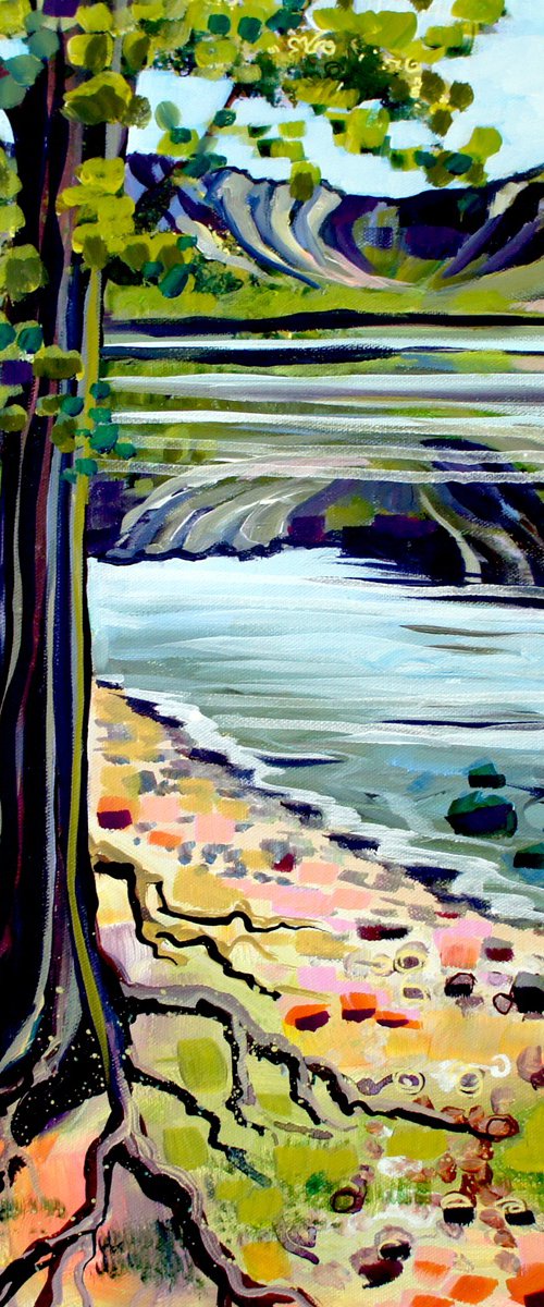 Shores of Buttermere by Julia  Rigby