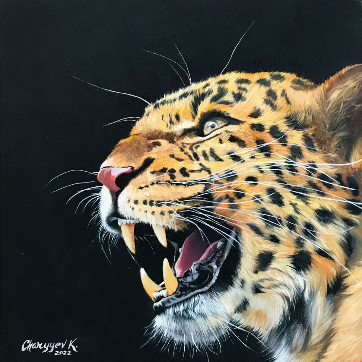 Leopard portrait by Kakajan Charyyev