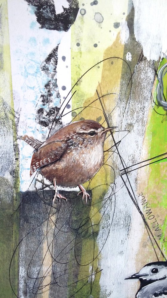 The siskin's song (siskin, wren and pied wagtail painting)