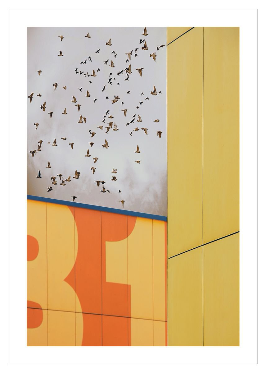 Cityscapes Photograph By Beata Podwysocka, 20 X 28, Wallscape 33, Original Artwork