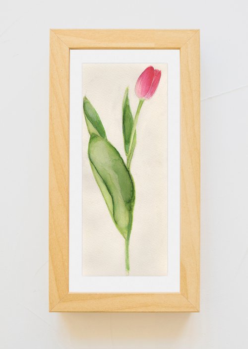 Tulip by Mia