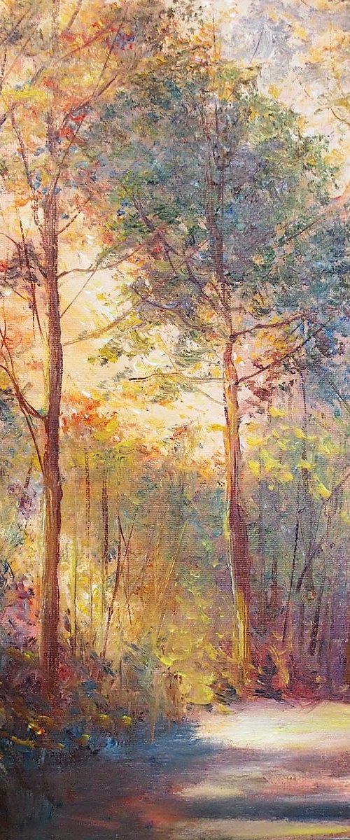Summer is coming by Vladimir Jarmolo