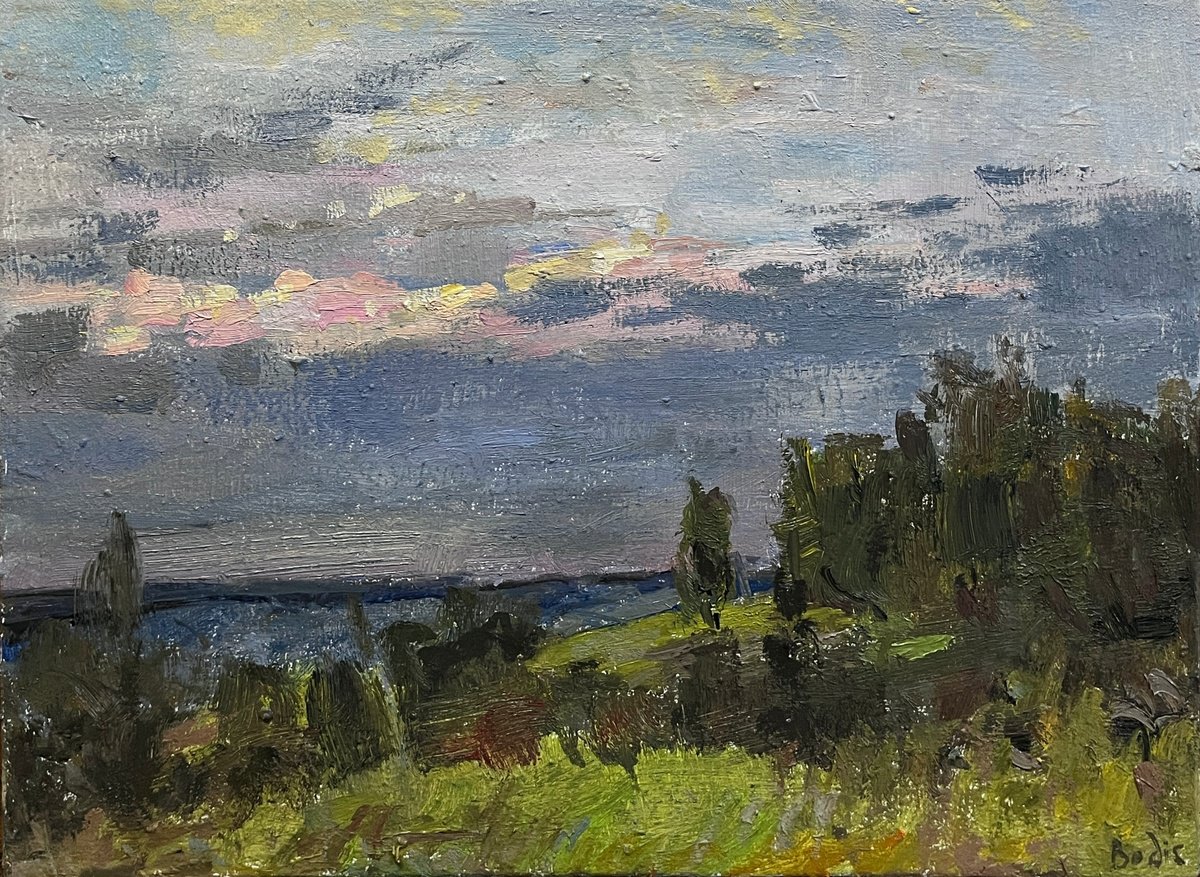 Impressionistic Landscape Oil Painting By Bohdan Dobrivskyi, 16 X 12, Evening, Original Artwork