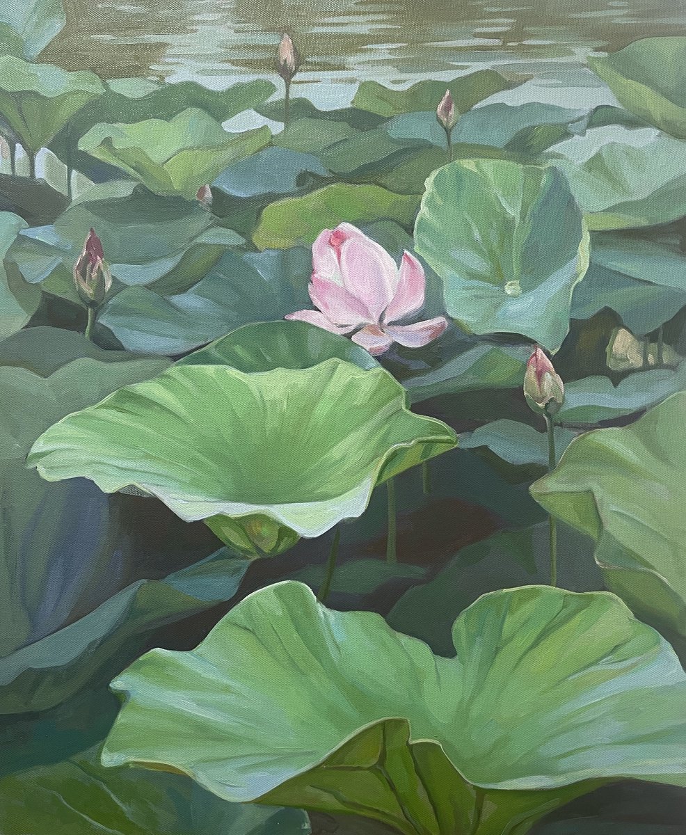 Lotuses landscape by Guzel Min
