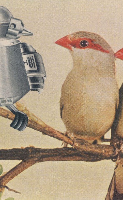 Bird Bot by Paper Draper