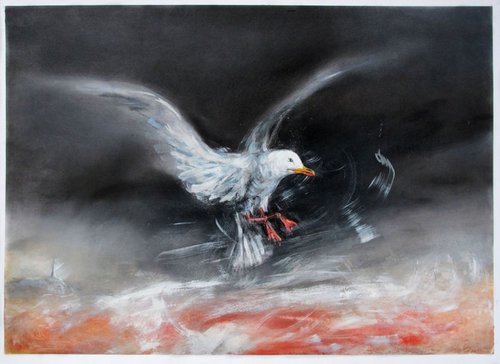 Night Gull 1 by John Sharp