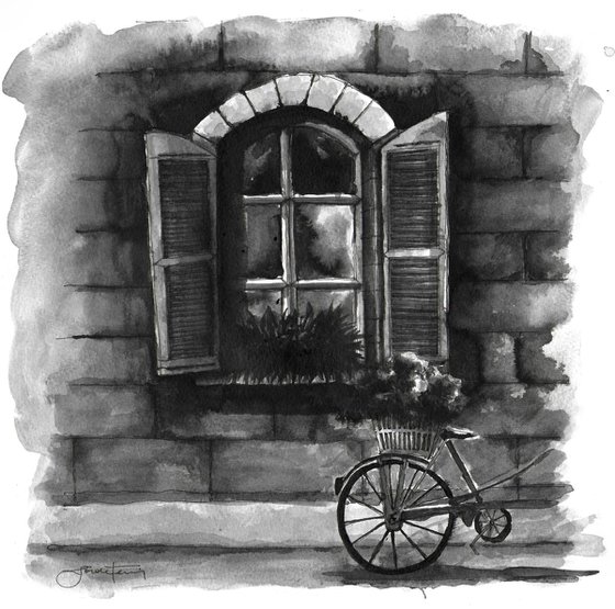 Window and Bike