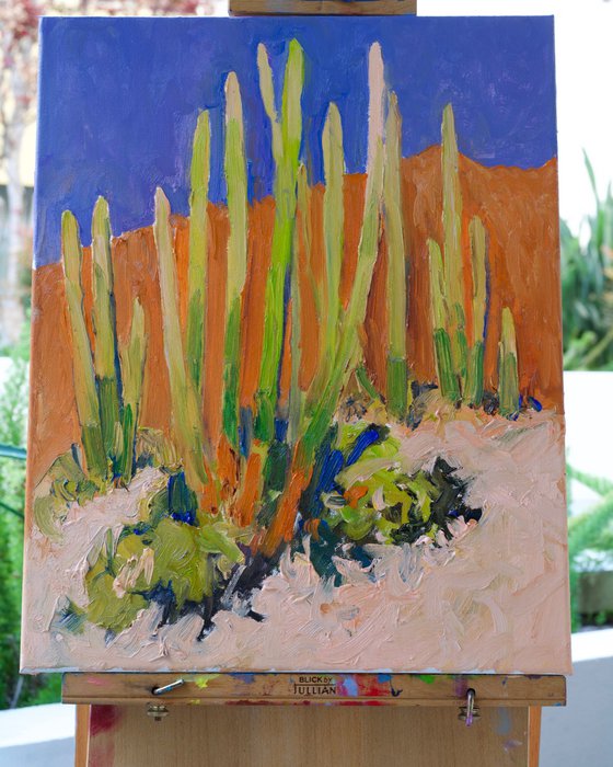 Cactuses in the Desert