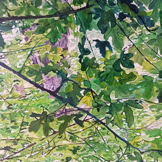 Among the Trees 4
