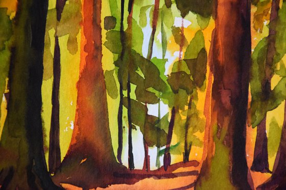 Norwegian watercolor painting Sunset forest, Sun through trees in Norway