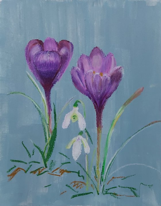 Oil pastel drawing of spring flowers "Crocuses", 2024