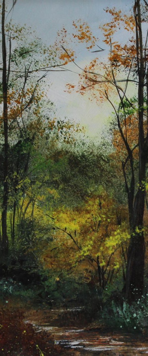 A Walk in the Woods by Valerie Jobes