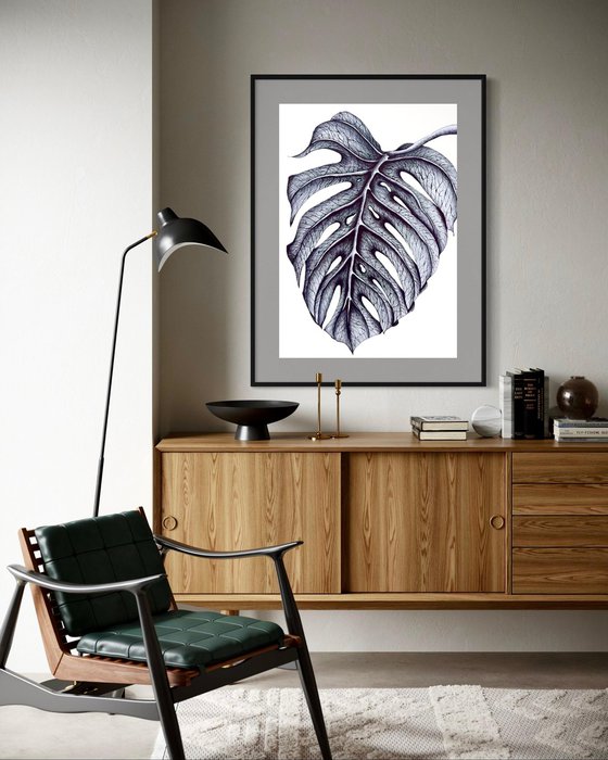 SINGLE MONSTERA LEAF