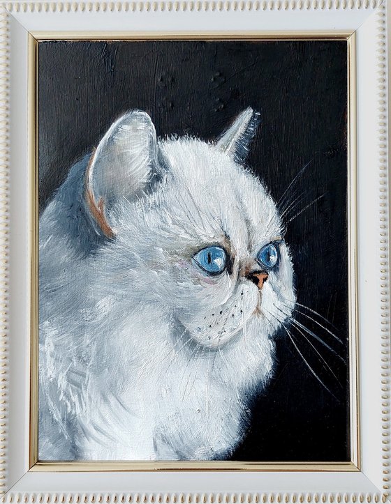 Fluffy Elegance